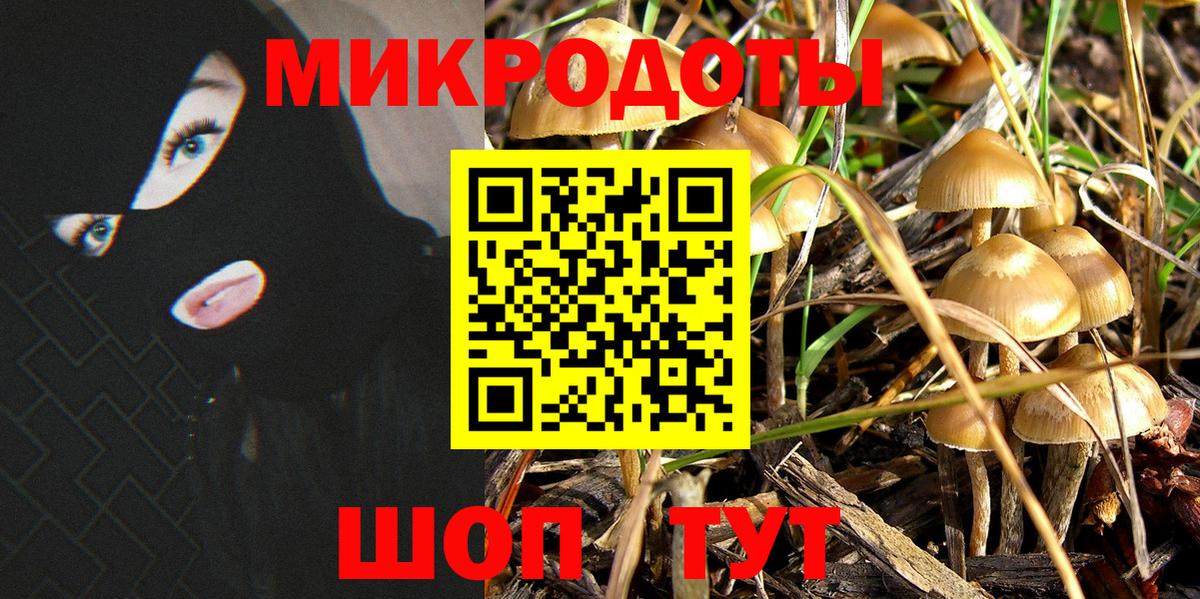 Псилоцибиновые грибы мухоморы  Вход с VPN  Котельники 