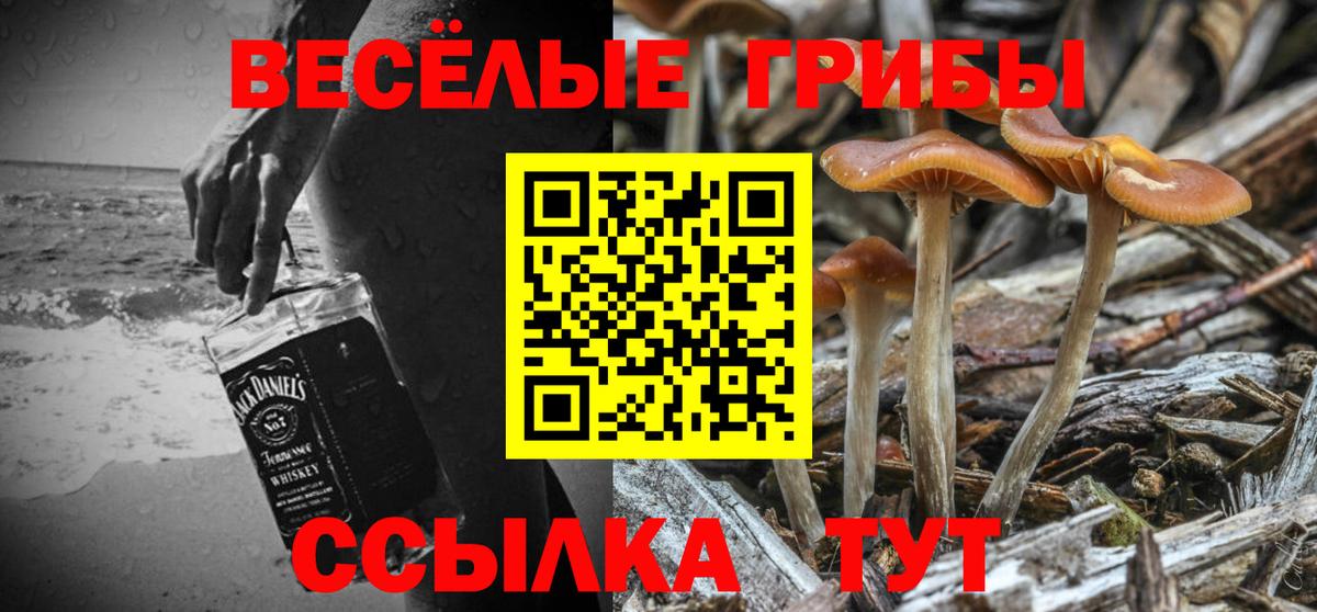 Галлюциногенные грибы мухоморы Котельники